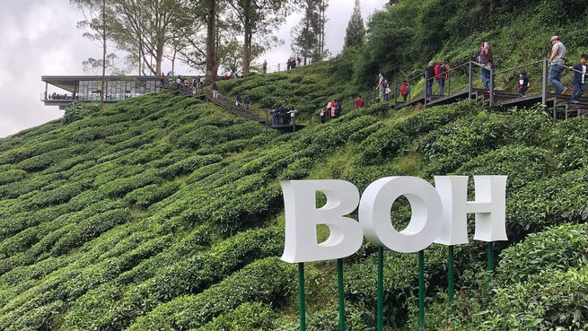 Cameron Highlands Tour